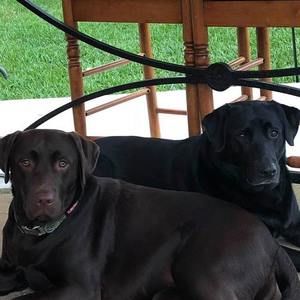 Meet your Posher, Maureen